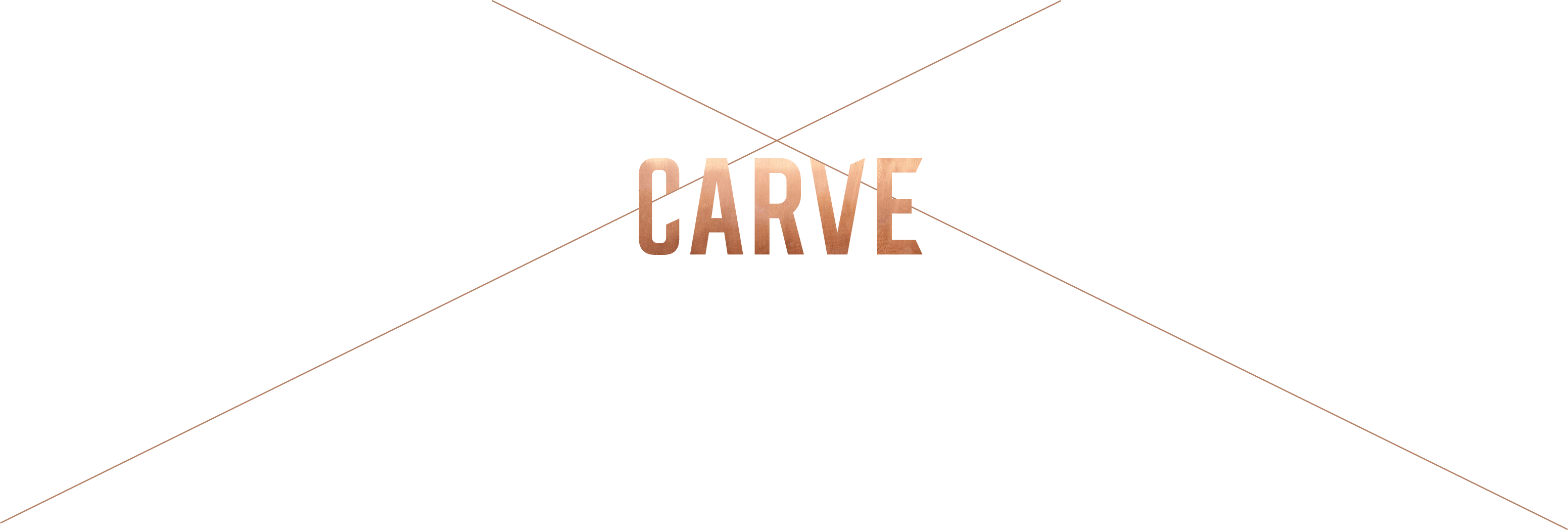 Carve logo